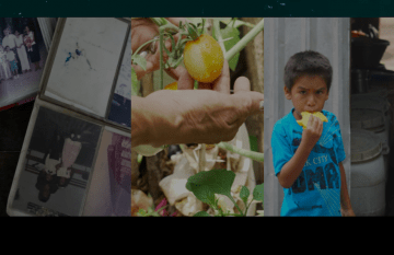 A lo largo de cinco capítulos, este especial multimedia expone el problema de la inseguridad alimentaria en El Salvador, pero también posibles soluciones. 