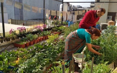 Huerto en la azotea de Amita Bhuwania, una respuesta urbana al encierro y que disminuye los efectos del cambio climático.