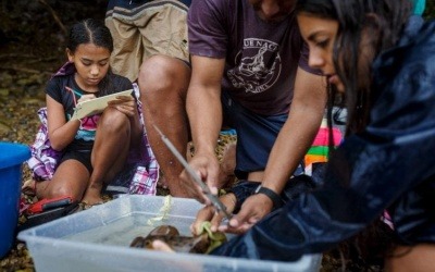 La Voz de Guanacaste, de Costa Rica, es uno de los medios de Latinoamérica que cuenta con una sección destinada a las soluciones. Aquí, una imagen de la historia de una comunidad que salvó a tortugas en peligro de extinción. Crédito: La Voz de Guanacaste.