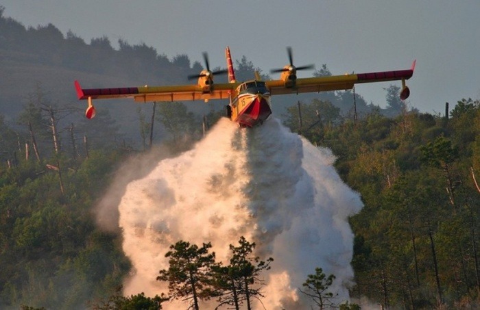 ¿Es cierto que México envió aviones militares para ayudar a apagar los incendios en la Amazonía?... ¡Responde nuestro quiz de noticias!