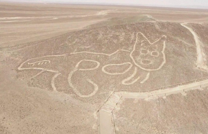 ¿Es auténtico el geoglifo con la figura de un gato que fue descubierto en Perú?... ¡Responde nuestro quiz de noticias!