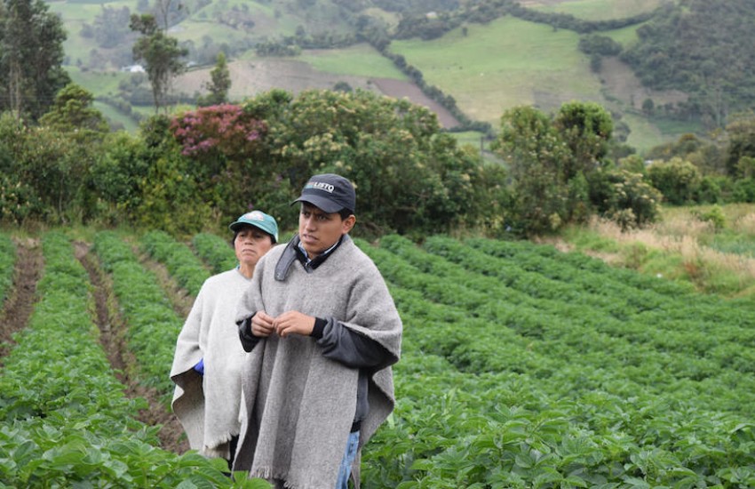 Foto: Cortesía FAO Colombia.