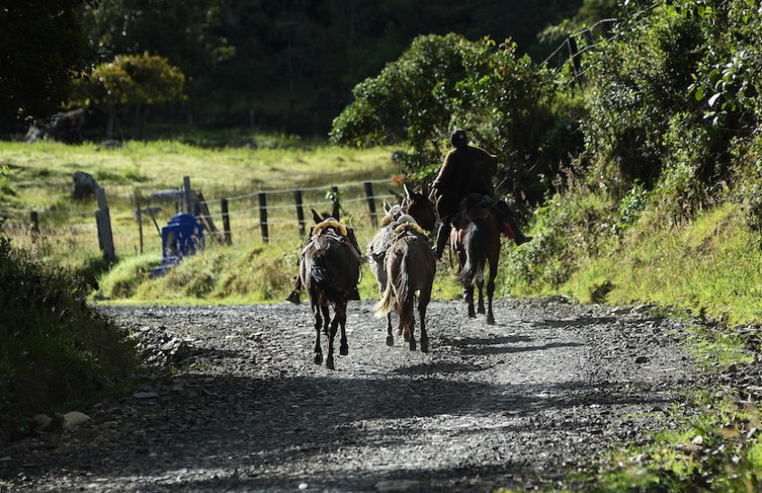 Foto: Representación FAO Colombia