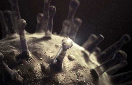 Recreación digital de la estructura de un virus | The Documentary Group