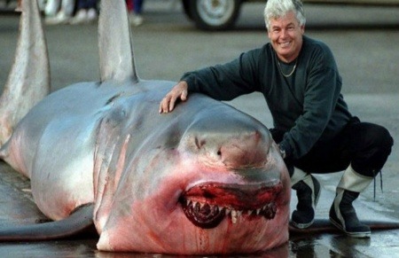 ¿En realidad fue capturado un tiburón de 1 tonelada en el Lago Michigan?... ¡Responde el quiz de noticias!