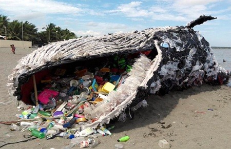 ¿Es real esta ballena varada llena de residuos plásticos?... ¡Responde nuestro quiz de noticias! 