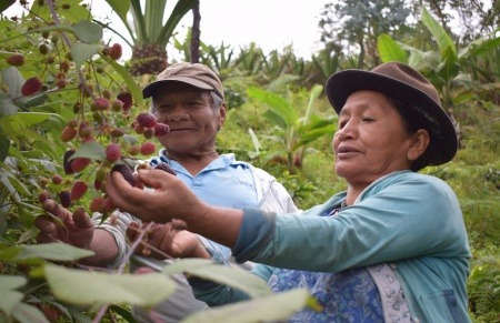 Foto: Cortesía FAO Colombia.