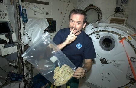 ¿Es cierto que el astronauta Chris Hadfield consumió marihuana en la Estación Espacial Internacional?.... ¡Responde nuestro quiz de noticias!