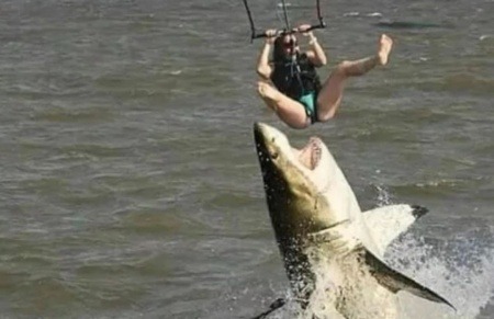 ¿Es real esta foto de un tiburón atacando a un turista?... ¡Responde nuestro quiz de noticias! 